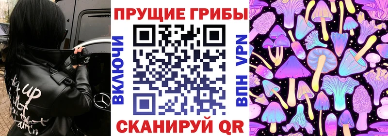 Псилоцибиновые грибы прущие грибы  наркошоп  Гудермес 